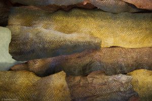22 NORDIC FISH SKIN CRAFT WORKSHOP. Bark tree Dyed fish skin. Photographer Nathalie Malric18.jpg